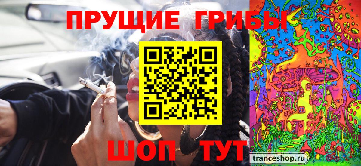 Галлюциногенные грибы Psilocybine cubensis  Вход с VPN  Ржев 
